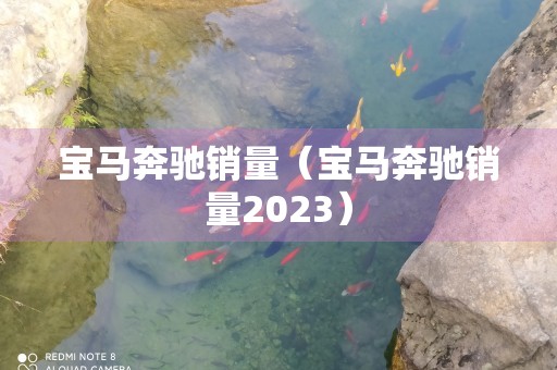 宝马奔驰销量（宝马奔驰销量2023）