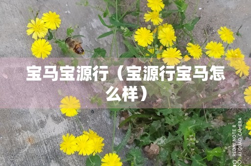 宝马宝源行（宝源行宝马怎么样）