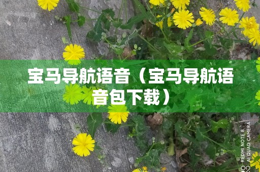 宝马导航语音（宝马导航语音包下载）