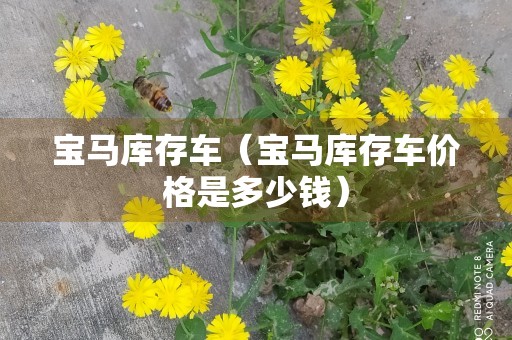 宝马库存车（宝马库存车价格是多少钱）