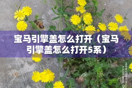 宝马引擎盖怎么打开（宝马引擎盖怎么打开5系）