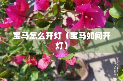 宝马怎么开灯（宝马如何开灯）