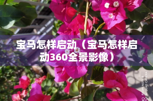 宝马怎样启动（宝马怎样启动360全景影像）