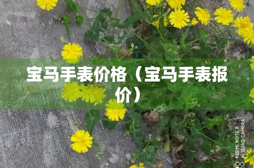 宝马手表价格（宝马手表报价）