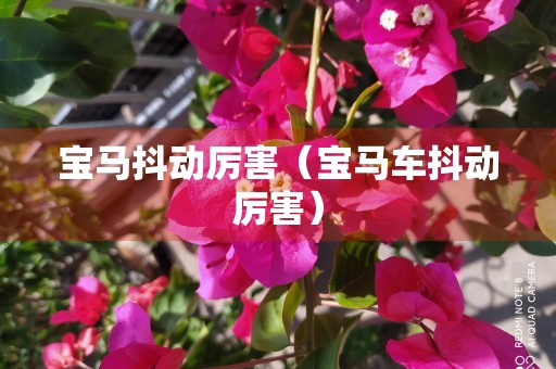 宝马抖动厉害（宝马车抖动厉害）