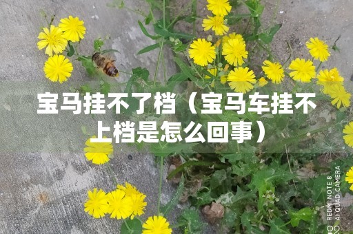 宝马挂不了档（宝马车挂不上档是怎么回事）