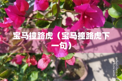 宝马撞路虎（宝马撞路虎下一句）