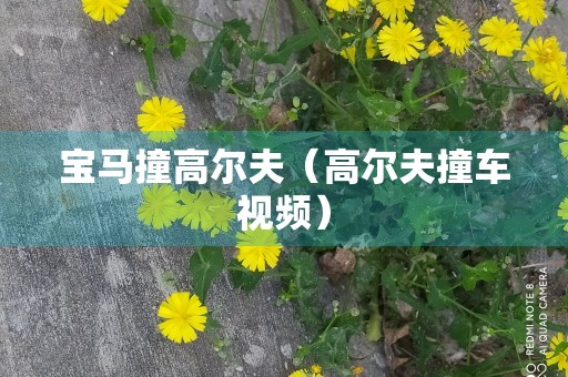 宝马撞高尔夫（高尔夫撞车视频）