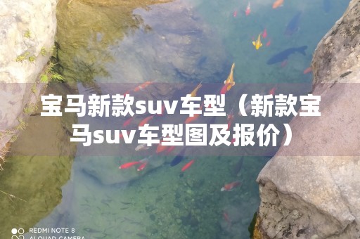 宝马新款suv车型（新款宝马suv车型图及报价）