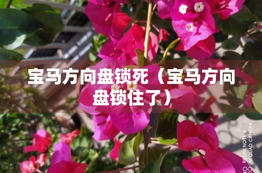 宝马方向盘锁死（宝马方向盘锁住了）