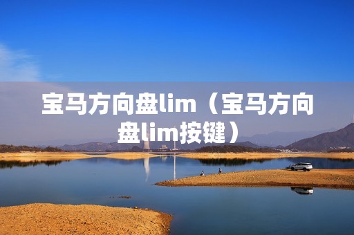 宝马方向盘lim（宝马方向盘lim按键）