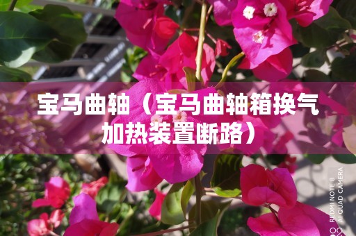 宝马曲轴（宝马曲轴箱换气加热装置断路）