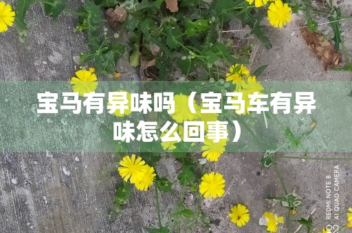 宝马有异味吗（宝马车有异味怎么回事）