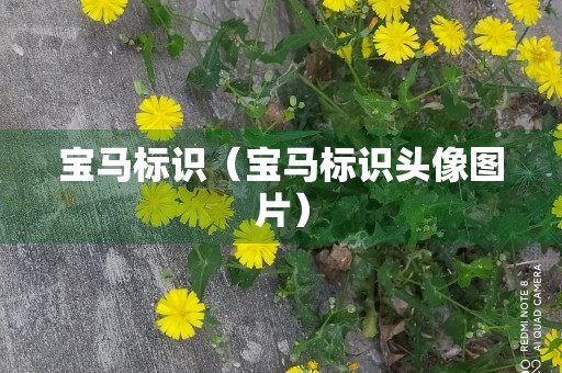 宝马标识（宝马标识头像图片）