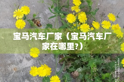 宝马汽车厂家（宝马汽车厂家在哪里?）