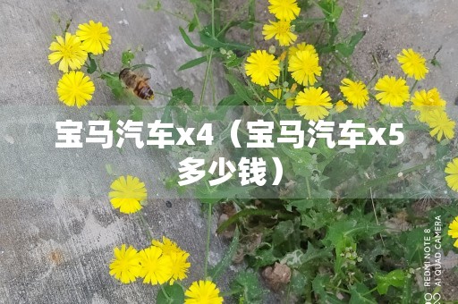 宝马汽车x4（宝马汽车x5多少钱）