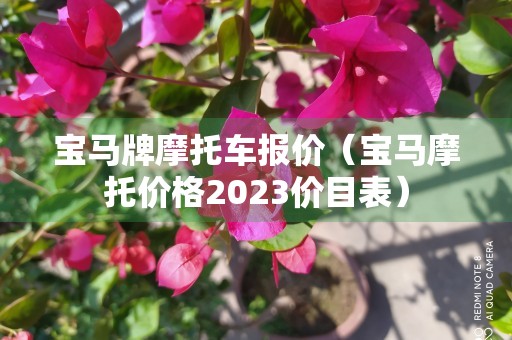 宝马牌摩托车报价（宝马摩托价格2023价目表）