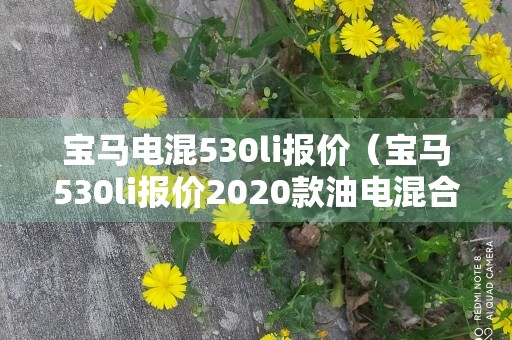 宝马电混530li报价（宝马530li报价2020款油电混合）