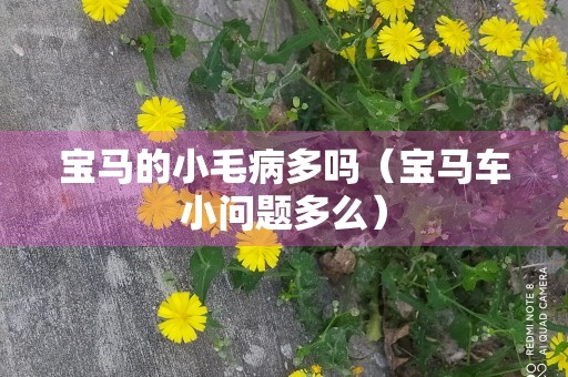 宝马的小毛病多吗（宝马车小问题多么）