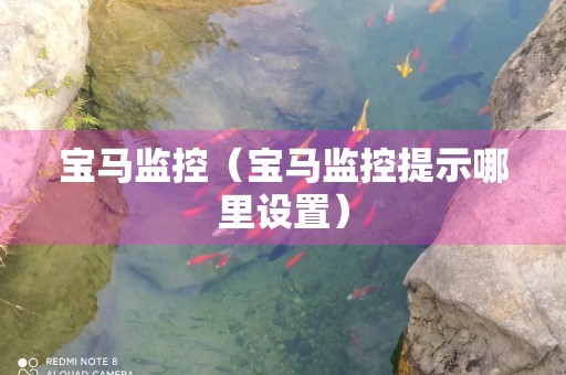 宝马监控（宝马监控提示哪里设置）