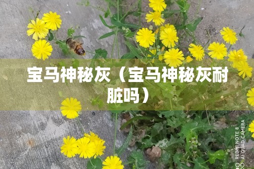 宝马神秘灰（宝马神秘灰耐脏吗）