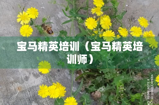 宝马精英培训（宝马精英培训师）