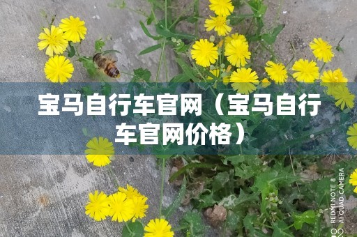 宝马自行车官网（宝马自行车官网价格）