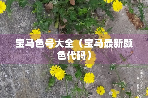 宝马色号大全（宝马最新颜色代码）