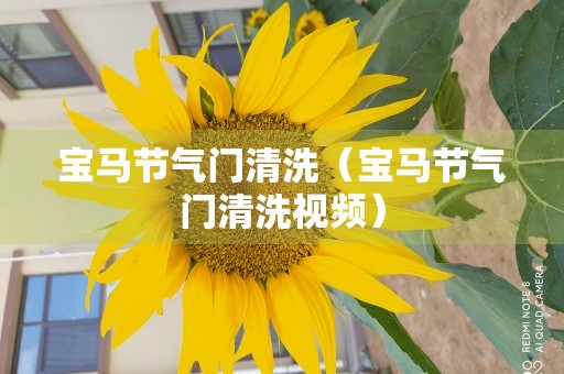 宝马节气门清洗（宝马节气门清洗视频）