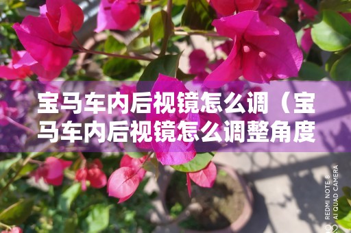 宝马车内后视镜怎么调（宝马车内后视镜怎么调整角度图解）