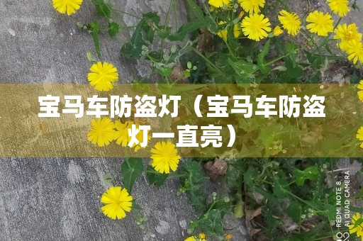 宝马车防盗灯（宝马车防盗灯一直亮）