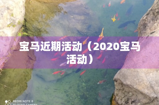 宝马近期活动（2020宝马活动）