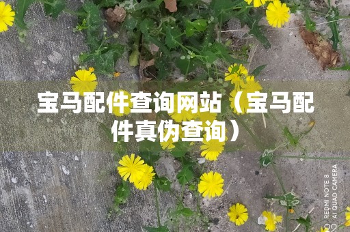 宝马配件查询网站（宝马配件真伪查询）