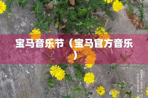 宝马音乐节（宝马官方音乐）