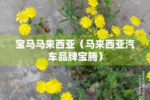 宝马马来西亚（马来西亚汽车品牌宝腾）