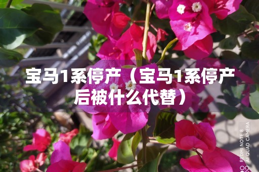 宝马1系停产（宝马1系停产后被什么代替）