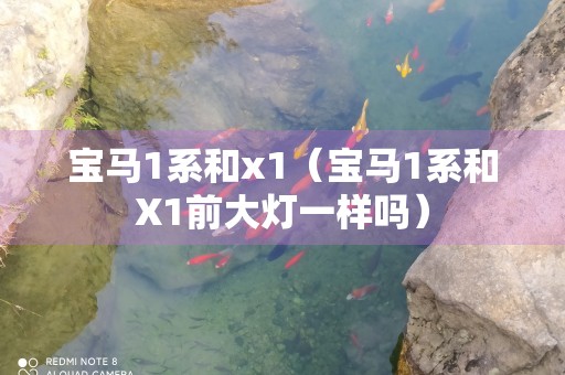 宝马1系和x1（宝马1系和X1前大灯一样吗）