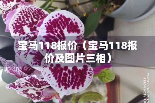 宝马118报价（宝马118报价及图片三相）