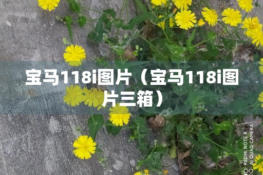 宝马118i图片（宝马118i图片三箱）