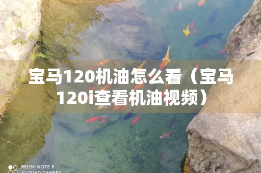 宝马120机油怎么看（宝马120i查看机油视频）