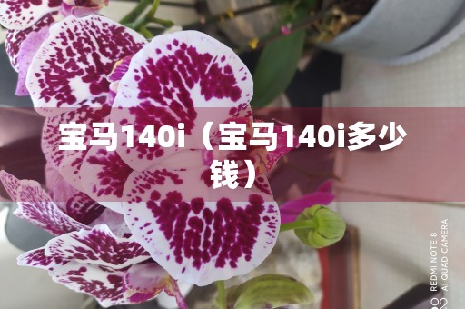 宝马140i（宝马140i多少钱）