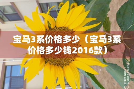 宝马3系价格多少（宝马3系价格多少钱2016款）