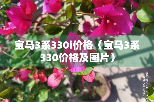 宝马3系330i价格（宝马3系330价格及图片）