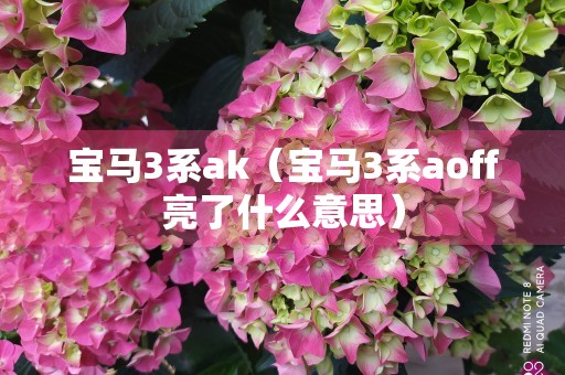 宝马3系ak（宝马3系aoff亮了什么意思）