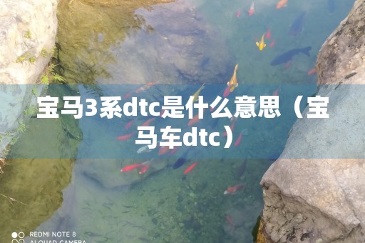 宝马3系dtc是什么意思（宝马车dtc）