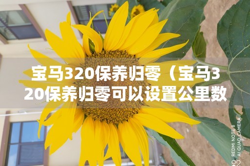 宝马320保养归零（宝马320保养归零可以设置公里数吗）