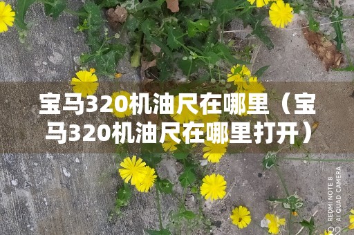 宝马320机油尺在哪里（宝马320机油尺在哪里打开）