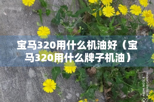 宝马320用什么机油好（宝马320用什么牌子机油）