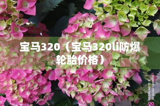 宝马320（宝马320li防爆轮胎价格）