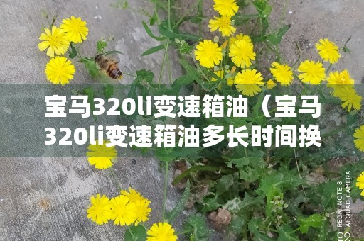 宝马320li变速箱油（宝马320li变速箱油多长时间换一次）